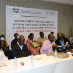 Côte d’ivoire : Fakes news et désinformation/Le FSDP finance la formation des acteurs de la presse web