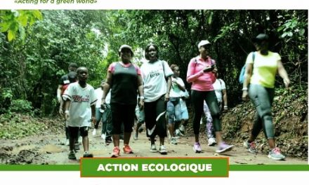 Environnement:Lutte contre le changement climatique/l’ONG Femmes proactives veut s’y engager