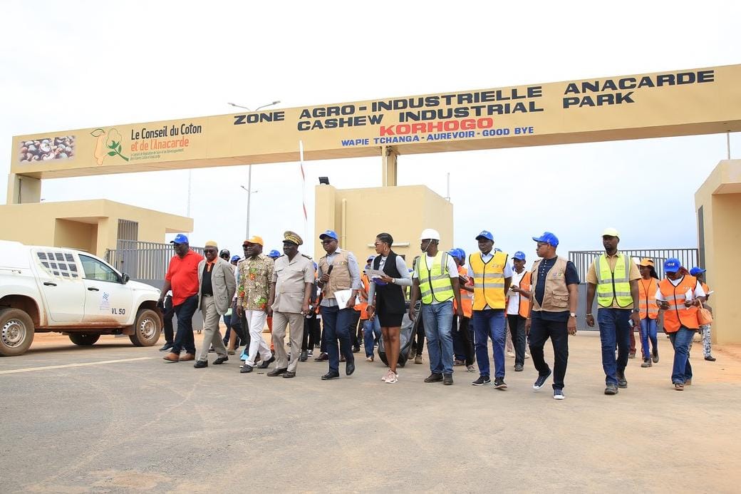 Transformation de la noix de cajou La zone agro industrielle de Korhogo (Azaiko) attend les investisseurs