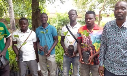 Toumodi-Développement local/Le maire Idrissa Koné offre 3000 pépinières d’anacarde à la jeunesse communale
