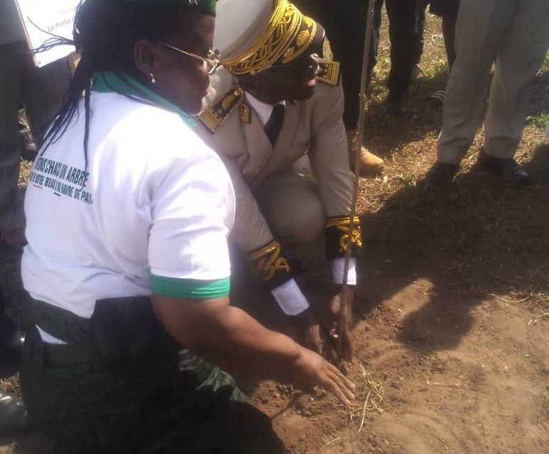 La paix et le planting d’arbres se côtoient pour l’harmonie à Toumodi.