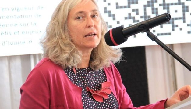 Fête de l’Europe à Abidjan : l’Union européenne plaide pour des élections apaisées en Côte d’Ivoire