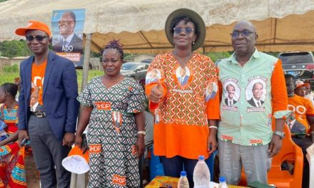 Élection Présidentielle /Les femmes de l’UF Rhdp du Bélier en action