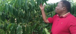 Toumodi : des formations qualifiantes pour dynamiser la filière café-cacao et l’agriculture durable